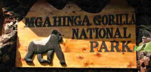 Mgahinga Gorilla National Park